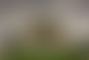 4cb367d0-b0e0-4c14-bbbf-7438183d6281.jpg
