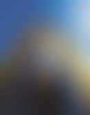 4ee0a5e8-4bb4-4d7b-8829-7d566d7b5f76.jpg