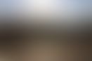 5188d897-7074-4a44-8b48-0c2a6d7b5f76.jpg