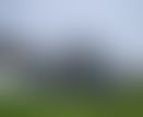 53394018-21e4-4eba-bfed-62376d7b5e1b.jpg