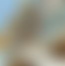 5b3b7f78-f6c8-4628-ab61-248e6d7b5e1b.jpg